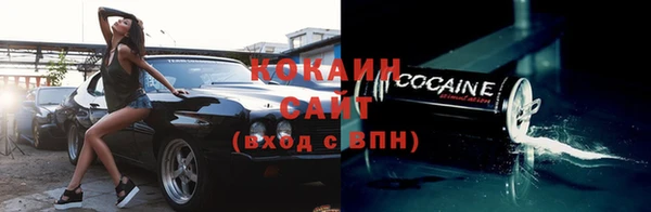 ПСИЛОЦИБИНОВЫЕ ГРИБЫ Магас